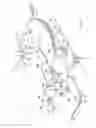 Fig. 04 - INTEGRATED CIRCUIT ALIGNMENT TOOL