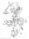 Fig. 20 - SWING ARM ASSEMBLY FOR INTERACTING WITH A SPOT WELDING TIP