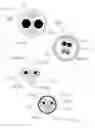 Fig. 17 - Medical devices having smoothly articulating multi-cluster joints