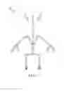 Fig. 06 - Soft body robot for physical interaction with humans