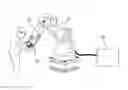 Fig. 01 - Robot operating apparatus provided with handles for operating robot
