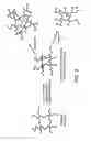 Fig. 04 - CELLULOSIC AND LIGNOCELLULOSIC STRUCTURAL MATERIALS AND METHODS AND SYSTEMS FOR MANUFACTURING SUCH MATERIALS