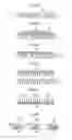 Fig. 07 - METHOD OF MANUFACTURING MOLD AND METHOD OF MANUFACTURING PATTERN SHEET