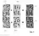 Fig. 05 - Security element and identification document