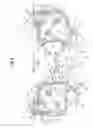 Fig. 03 - Head cover structure of engine and suspension structure thereof