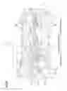 Fig. 06 - Head cover structure of engine and suspension structure thereof