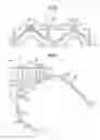 Fig. 09 - Head cover structure of engine and suspension structure thereof