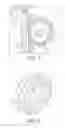 Fig. 05 - Roller gear for a drive system