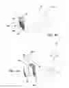 Fig. 07 - Dispenser bag container and dispenser rack