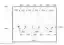 Fig. 01 - Systems for dispensing alcoholic beverages