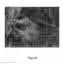 Fig. 09 - METHOD OF MASS PRODUCING FEW-LAYER GRAOHENE POWDERS