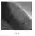 Fig. 05 - GRAPHENE FILM AND MANUFACTURING METHOD THEREOF