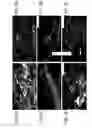 Fig. 09 - Large scale production of thinned graphite, graphene, and graphite-graphene composites