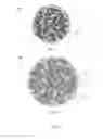 Fig. 03 - Microspheres and methods of making the same