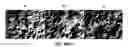 Fig. 09 - Foam modifiers for gypsum slurries, methods, and products