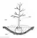 Fig. 01 - Methods for application of biochar