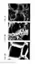 Fig. 03 - Methods for application of biochar
