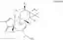 Fig. 02 - Compositions And Methods Of Use Of Phorbol Esters For Treatment of Stroke
