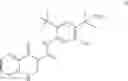 Fig. 71 - Process for making modulators of cystic fibrosis transmembrane conductance regulator