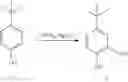 Fig. 98 - Process for making modulators of cystic fibrosis transmembrane conductance regulator