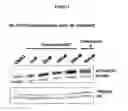 Fig. 02 - Pyrimidine hydroxy amide compounds as HDAC6 selective inhibitors