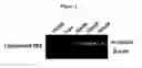 Fig. 03 - Pyrimidine hydroxy amide compounds as HDAC6 selective inhibitors