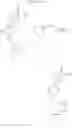 Fig. 216 - Carboxamide derivatives and use thereof
