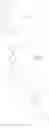 Fig. 231 - Carboxamide derivatives and use thereof