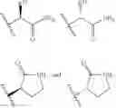 Fig. 34 - Carboxamide derivatives and use thereof
