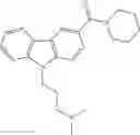 Fig. 31 - Novel Tricyclic Modulators of Cannabinoid Receptors