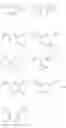 Fig. 09 - Macrocycles with aromatic P2′ groups as factor xia inhibitors
