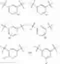 Fig. 19 - Macrocycles with aromatic P2′ groups as factor xia inhibitors