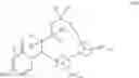 Fig. 304 - Macrocycles with aromatic P2′ groups as factor xia inhibitors