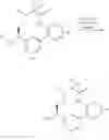 Fig. 62 - Macrocycles with aromatic P2′ groups as factor xia inhibitors