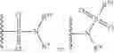 Fig. 29 - Compositions and methods for inhibiting beta-lactamase