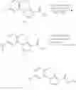 Fig. 12 - (5,6-dihydro)pyrimido[4,5-E]indolizines