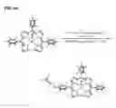Fig. 05 - Derivatized corroles and metallocorroles and their use as imaging and therapeutic agents