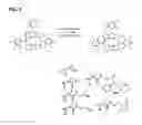Fig. 07 - Derivatized corroles and metallocorroles and their use as imaging and therapeutic agents
