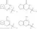 Fig. 1148 - Sepiapterin reductase inhibitors
