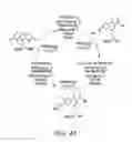 Fig. 05 - Compounds for treatment of fluoroquinolone-resistant bacteria