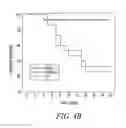 Fig. 06 - Compounds for treatment of fluoroquinolone-resistant bacteria
