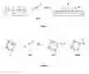 Fig. 02 - Method for the preparation of functionalized cyclosiloxanes