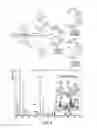 Fig. 05 - PLATINUM(IV) COMPOUNDS AND METHODS OF MAKING AND USING SAME
