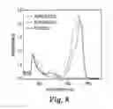 Fig. 07 - PLATINUM(IV) COMPOUNDS AND METHODS OF MAKING AND USING SAME