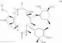 Fig. 11 - Process for the preparation of macrolide antibacterial agents