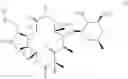 Fig. 13 - Process for the preparation of macrolide antibacterial agents