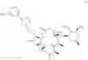 Fig. 16 - Process for the preparation of macrolide antibacterial agents