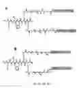 Fig. 05 - Tumor-targeting compounds