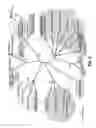 Fig. 02 - Methods and compositions for chimeric coronavirus spike proteins
