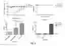 Fig. 06 - Methods and compositions for chimeric coronavirus spike proteins